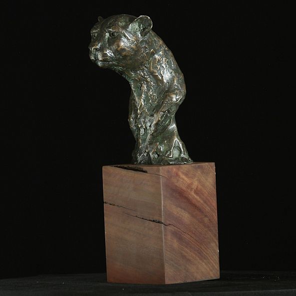 Cheetah Bust-Willem Botha