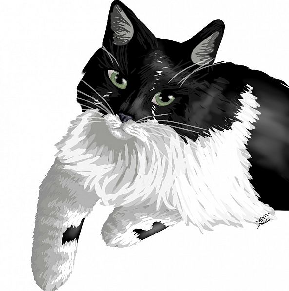 Lola-Charles Fournier Phaneuf