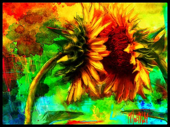 ENTRE NOUS TOURNE SOL-MiCheline Tremblay