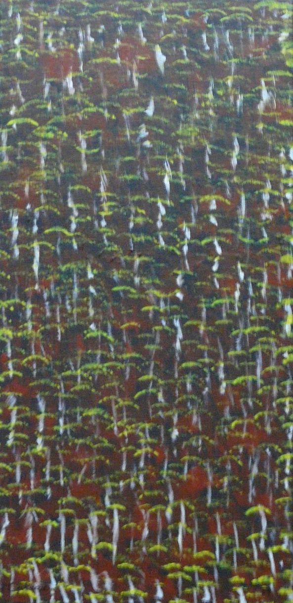 "Floresta"-Margarida Maria