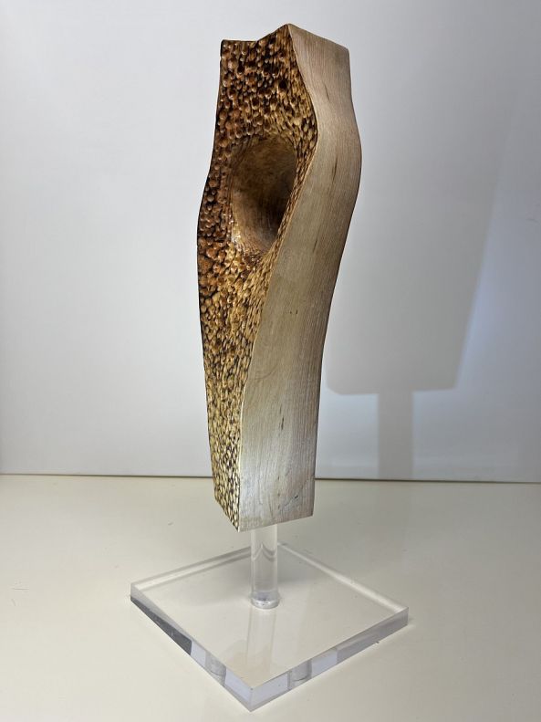 Woods-Philippe  LE TORRIELLEC 