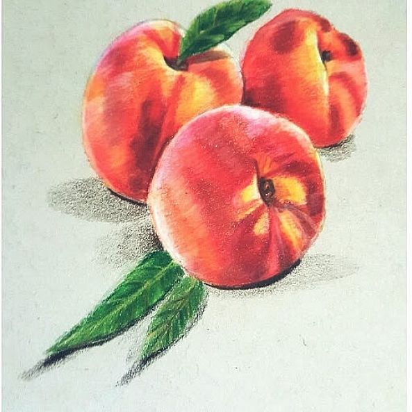 realistic peaches made with colorpencil-yubirna paulino