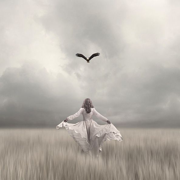 teach me how to fly-Phil Mckay