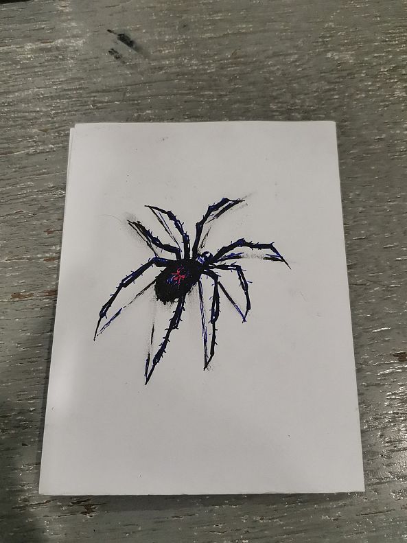 Spider -Jerriemar Pepania
