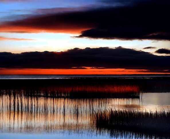 Night song-ELIE  D'OLERON