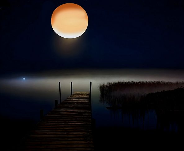 Moon mélodie-ELIE  D'OLERON