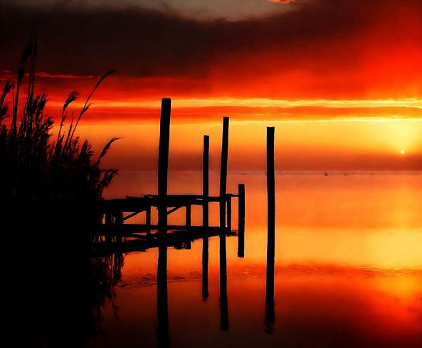 Sunset quartet-ELIE  D'OLERON