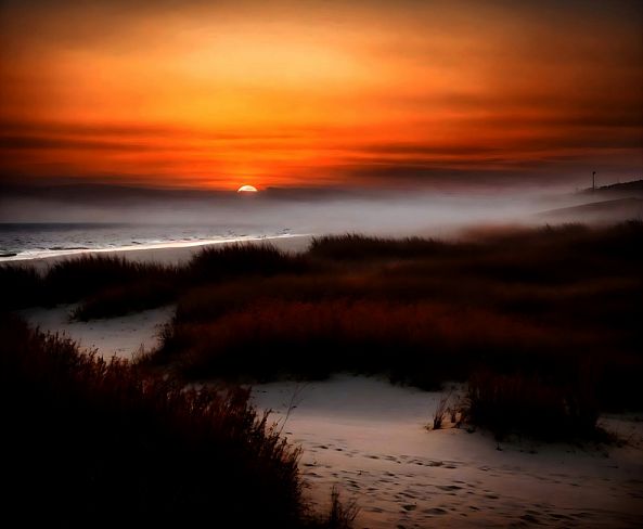 Sunset sérénade-ELIE  D'OLERON