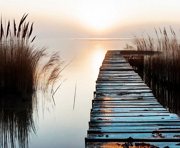 Morning zen-ELIE  D'OLERON