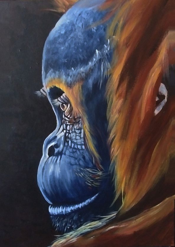 Baby Orang-outan-Lucie Theroux