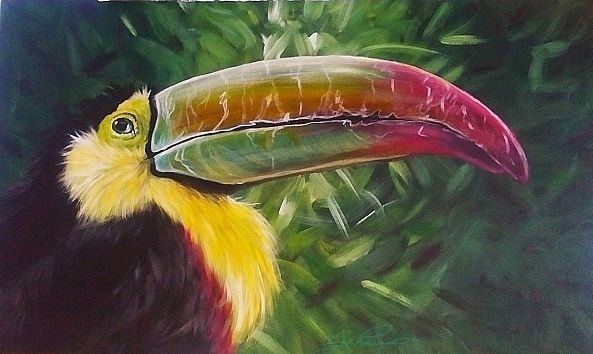 toucan of Costa Rica-Lucie Theroux