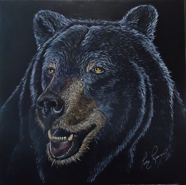 Canadian Black Bear-Lucie Theroux