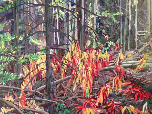 Fireweed-Yvette Cuthbert