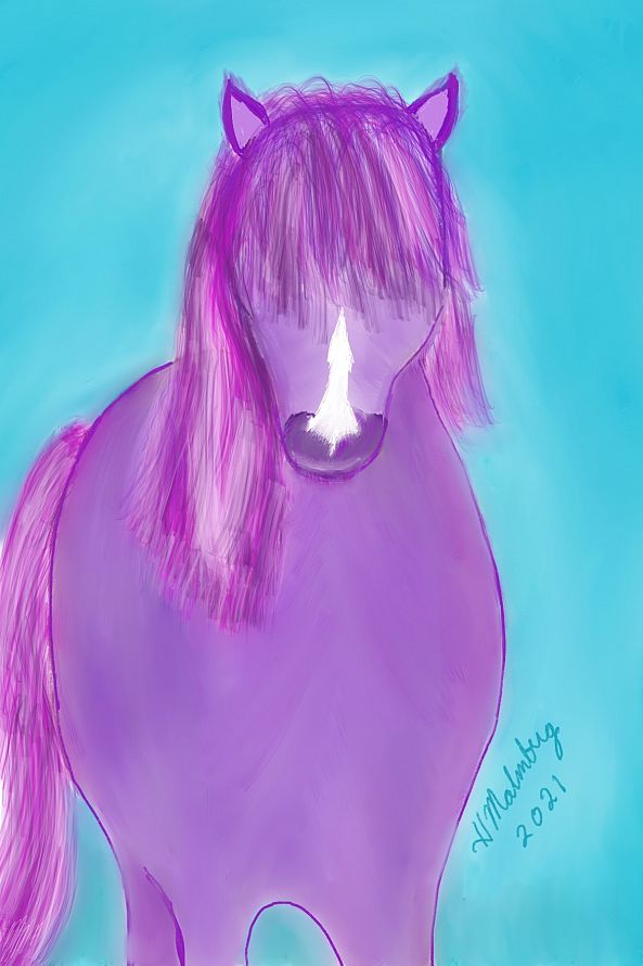 Icelandic Horse-Pete Malmberg