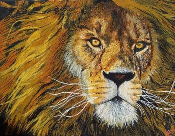 Panthera leo-Yannig Etienne