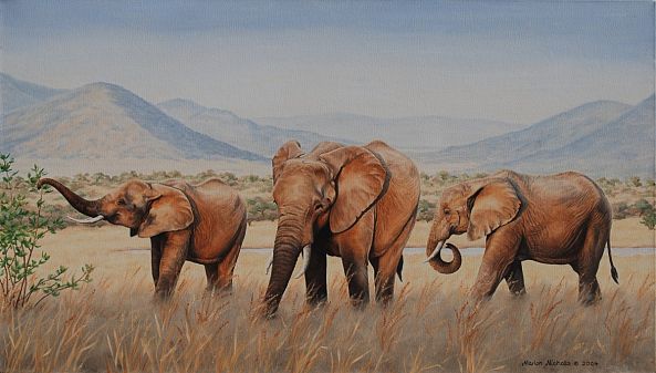 Pilanesberg trio-Marion Nicholls