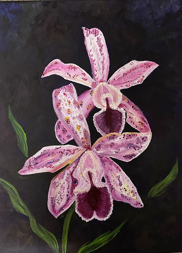Orchidée-Anne Antoine