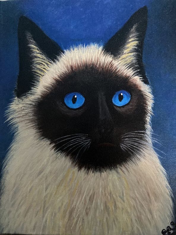 Le gardien du silence-Anne Antoine