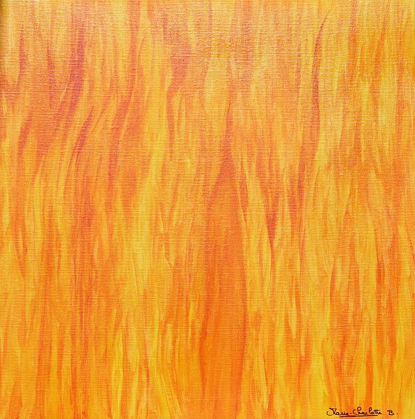 Les Flammes de l'Optimisme-Marie-Charlotte B
