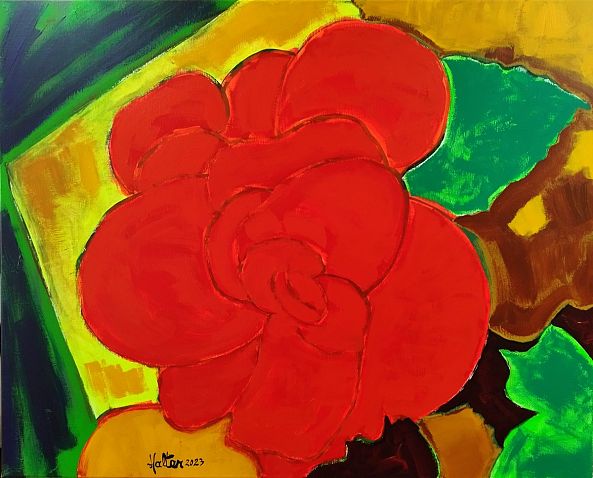 BegoniA rouge-Alain HALTER