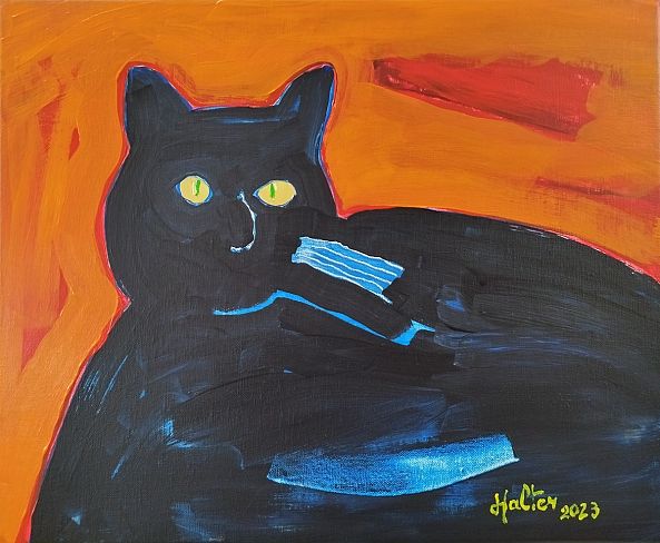 Chat noir sur fond orange-Alain HALTER