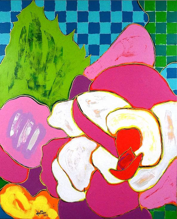Fleur de bégonia rose et blanc-Alain HALTER