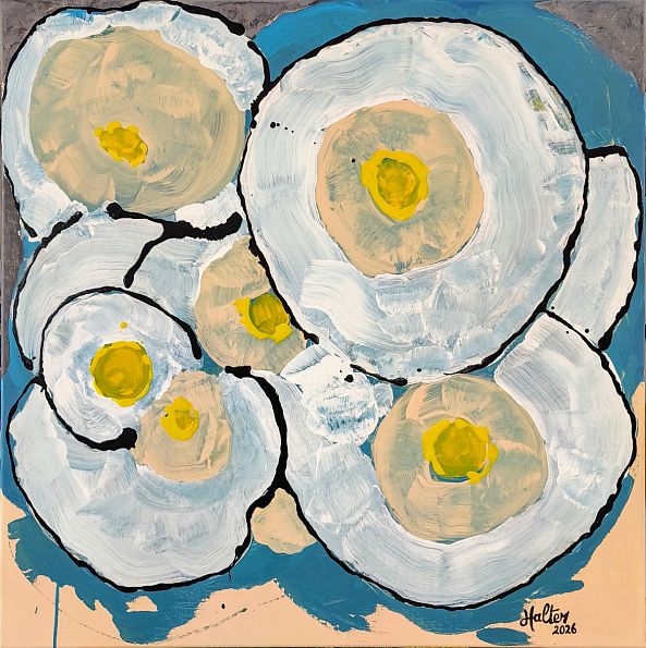 Grandes fleurs blanches-Alain HALTER