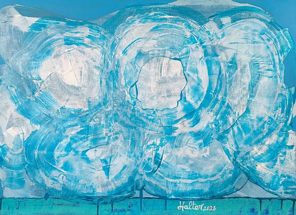 Fleurs blanches dans le ciel-Alain HALTER