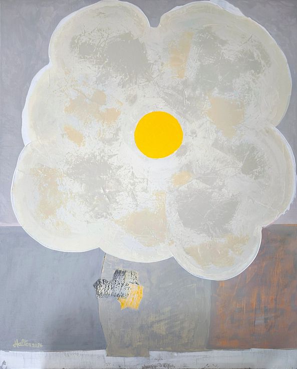 Noyau solaire-Alain HALTER