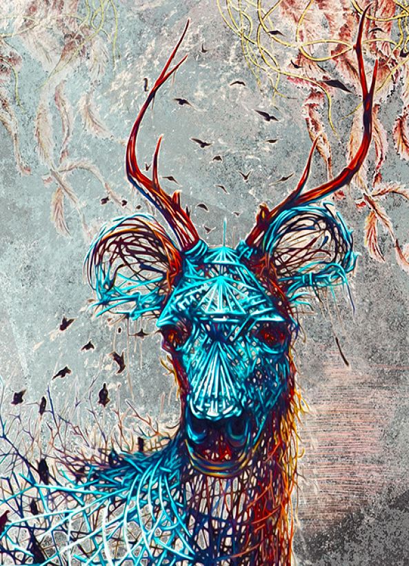 Ciber Deer-Albena Alta