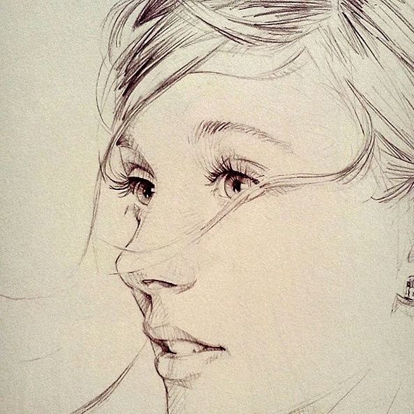 Pencil Drawing Fine Art-Amelia Andris