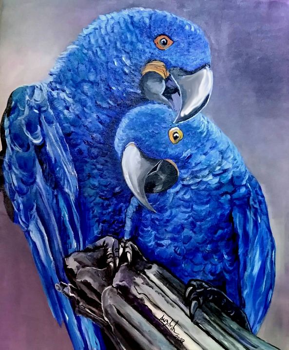 Blue macaws-Suzana Pires