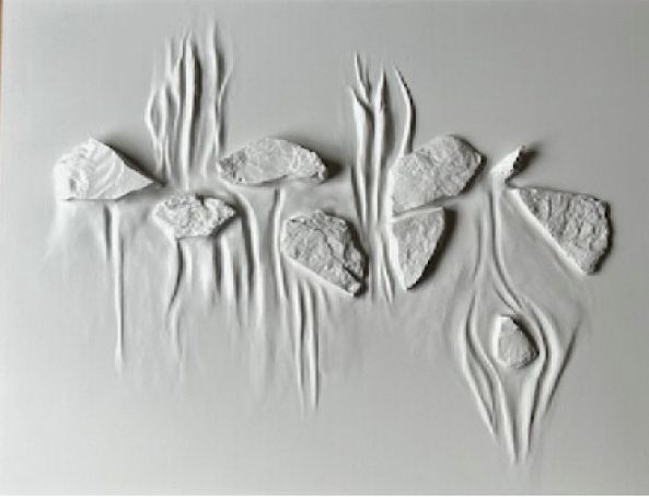 Les méduses-Myrtha Boily