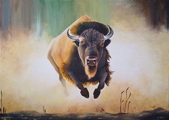 bison-gerard Goursolle