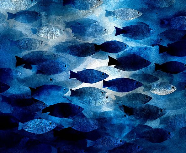 school fishs-ELIE _artiste