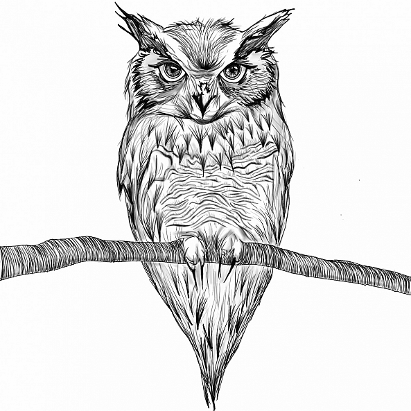 Blink Twice-Kristina Bet Dashto