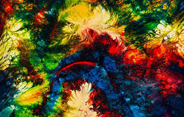 Bloom Within-Fatima Zahra  ES SOUKI