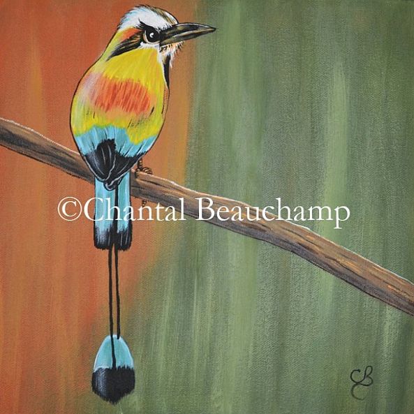 Motmot à sourcil bleu-Chantal Beauchamp