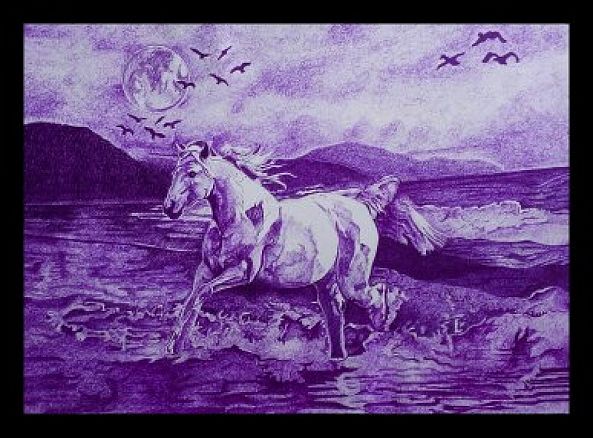 horse in moonlight-Indranil Biswas