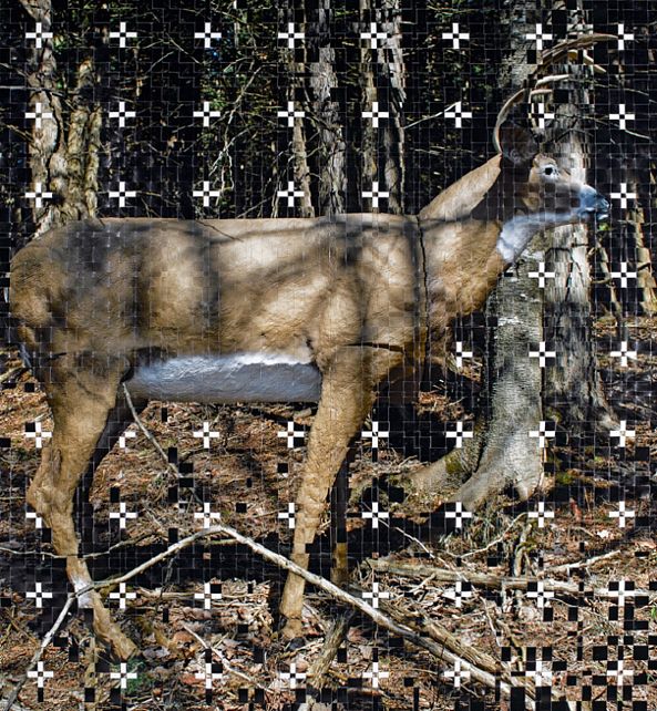 Deer Plastic-martin rondeau