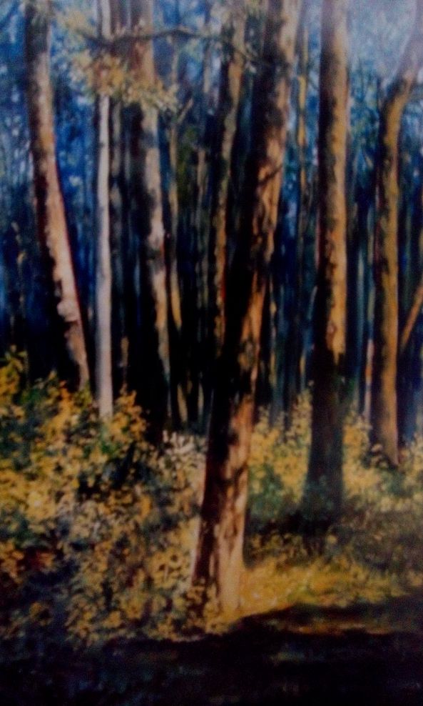  Forest-Nitu Bala bala