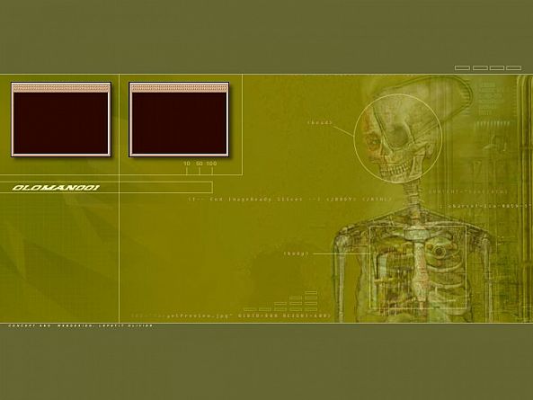 skull lab-Olivier Lepetit