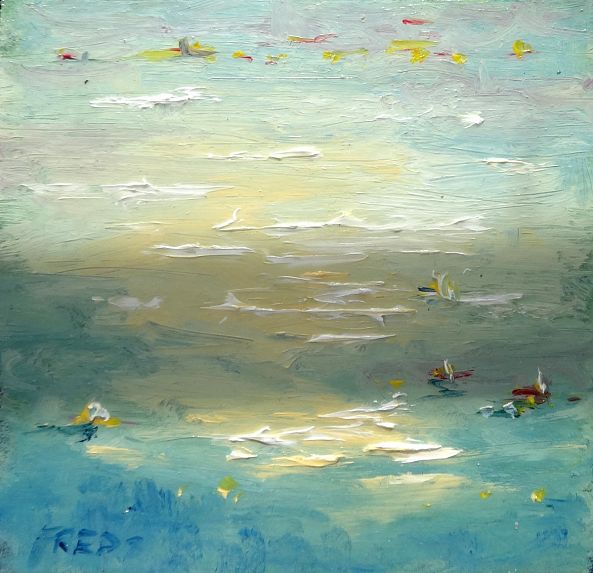 Water lilies in Sun-fred wilson 3