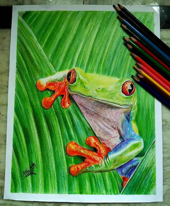 Tropical frog -Ashutosh  Tiwari