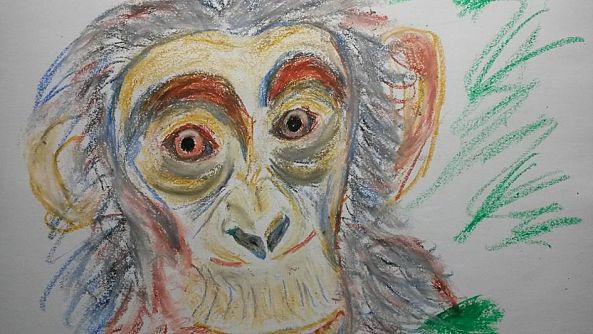 Monkey 1-Fred Touraine
