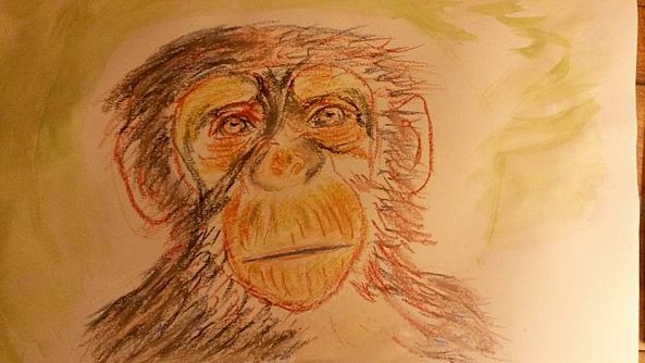 Monkey 3-Fred Touraine