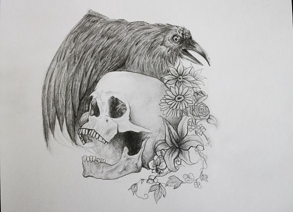 Crow and Skull do better-Maria Johnson