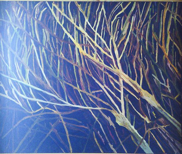 Branches at night-jorge Rodriguez