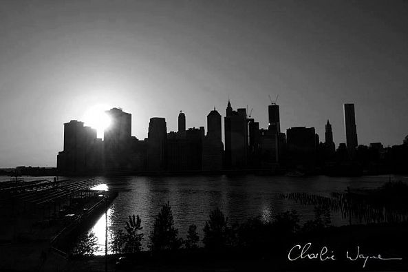 The island-Charlie Wayne