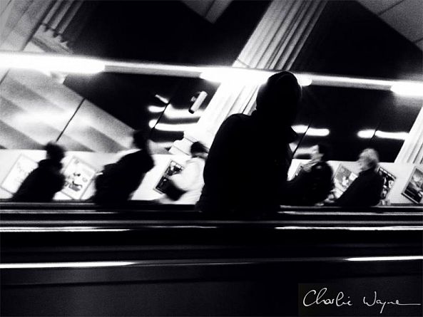 Dissident-Charlie Wayne